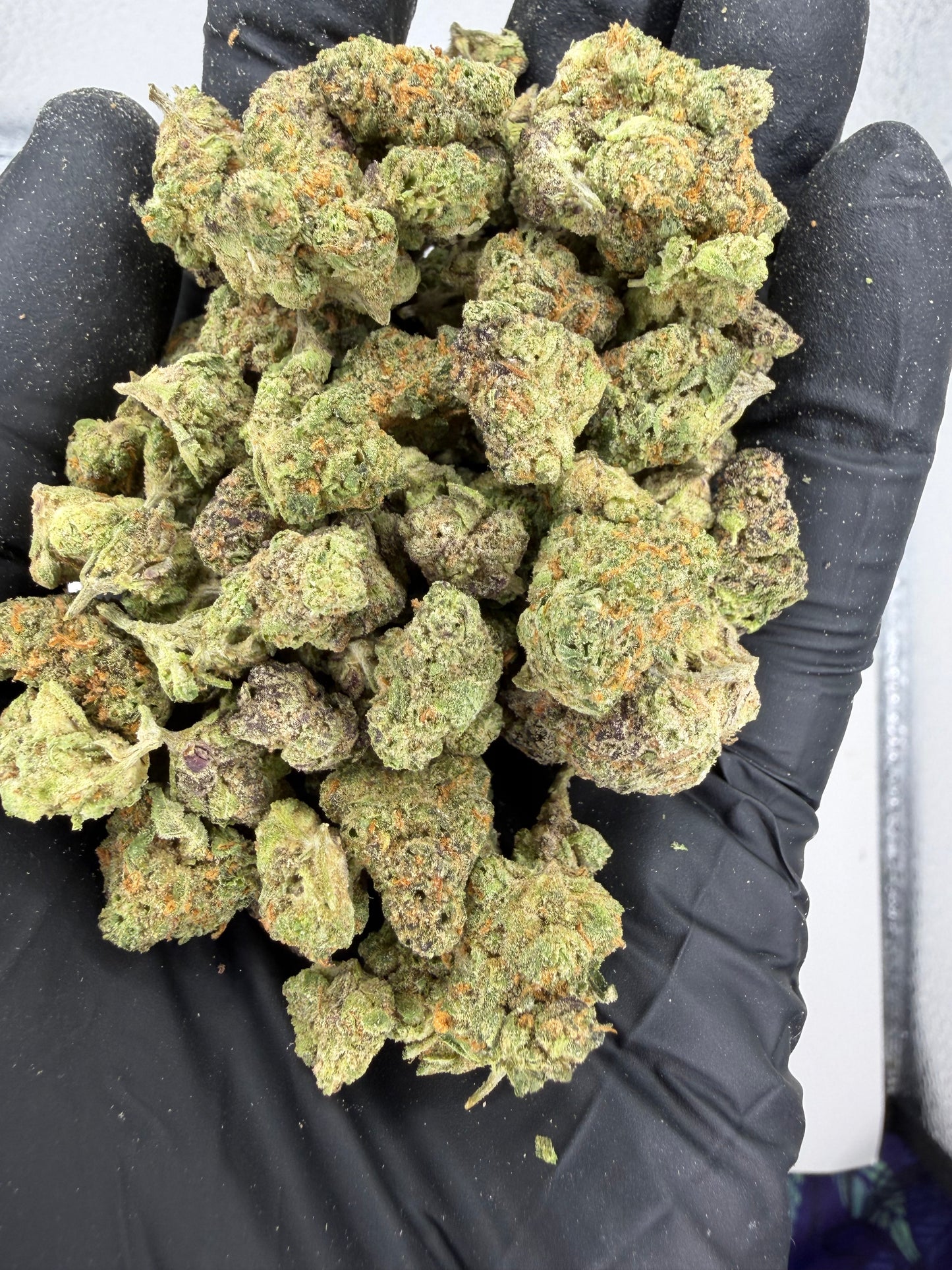 Jelly Donuts Exotics Smalls