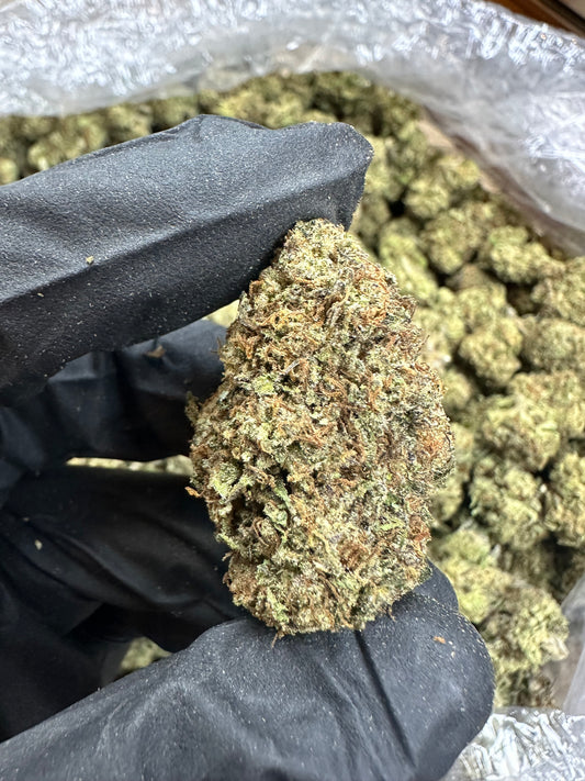 Slurricane Indoor Light Assist