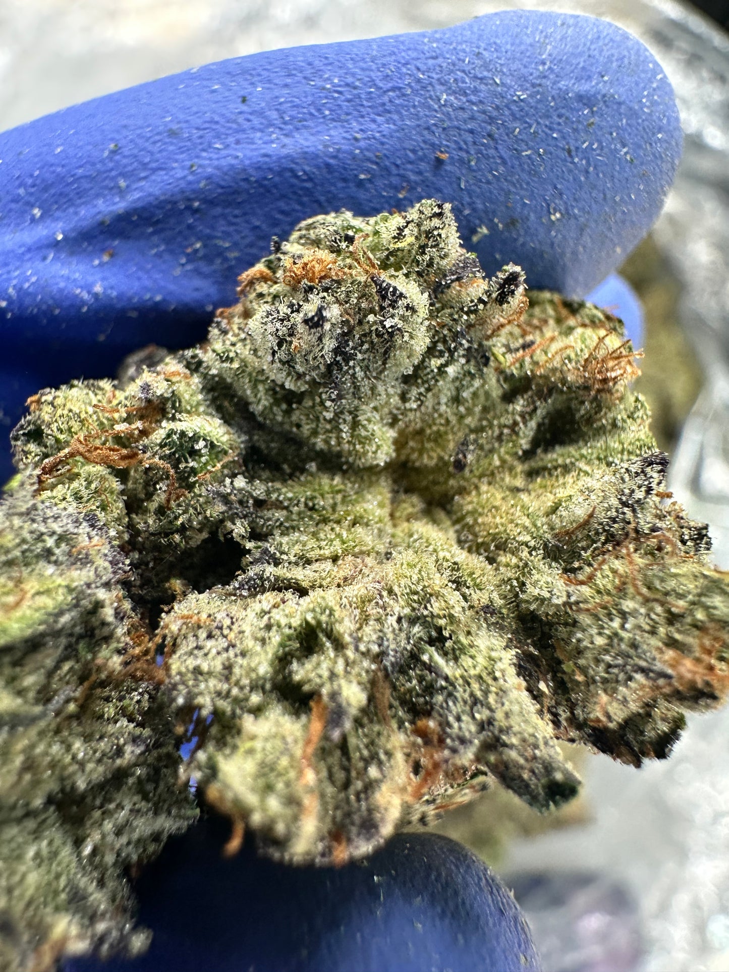 Grape Breath