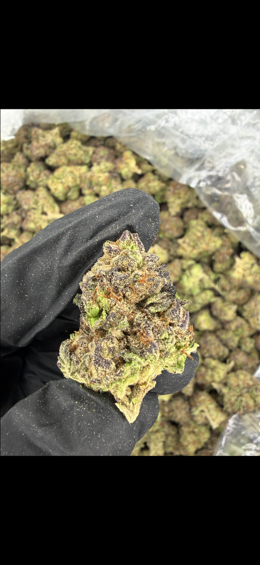 Cadillac Rainbow (purple pheno) Indoor light Assist