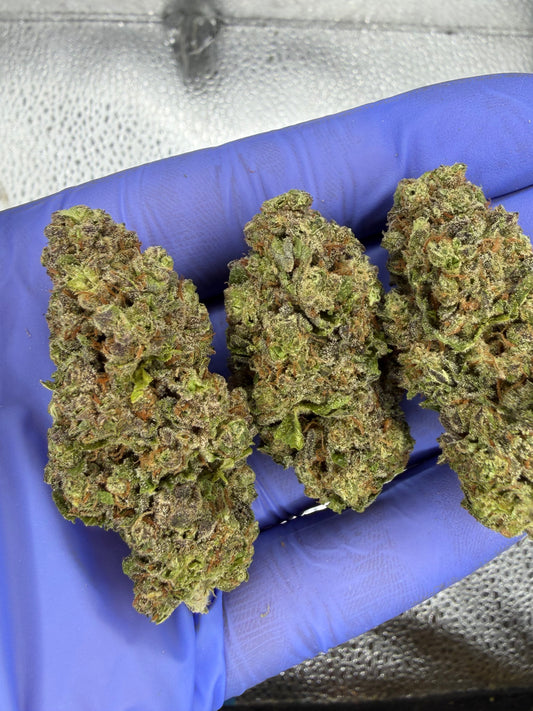 Hash Burger AAA Indoor Light Assit