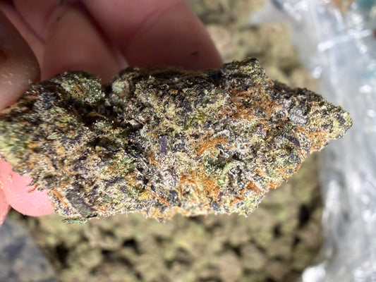 Candied Sherb Cannaisseur Exotics ships Monday