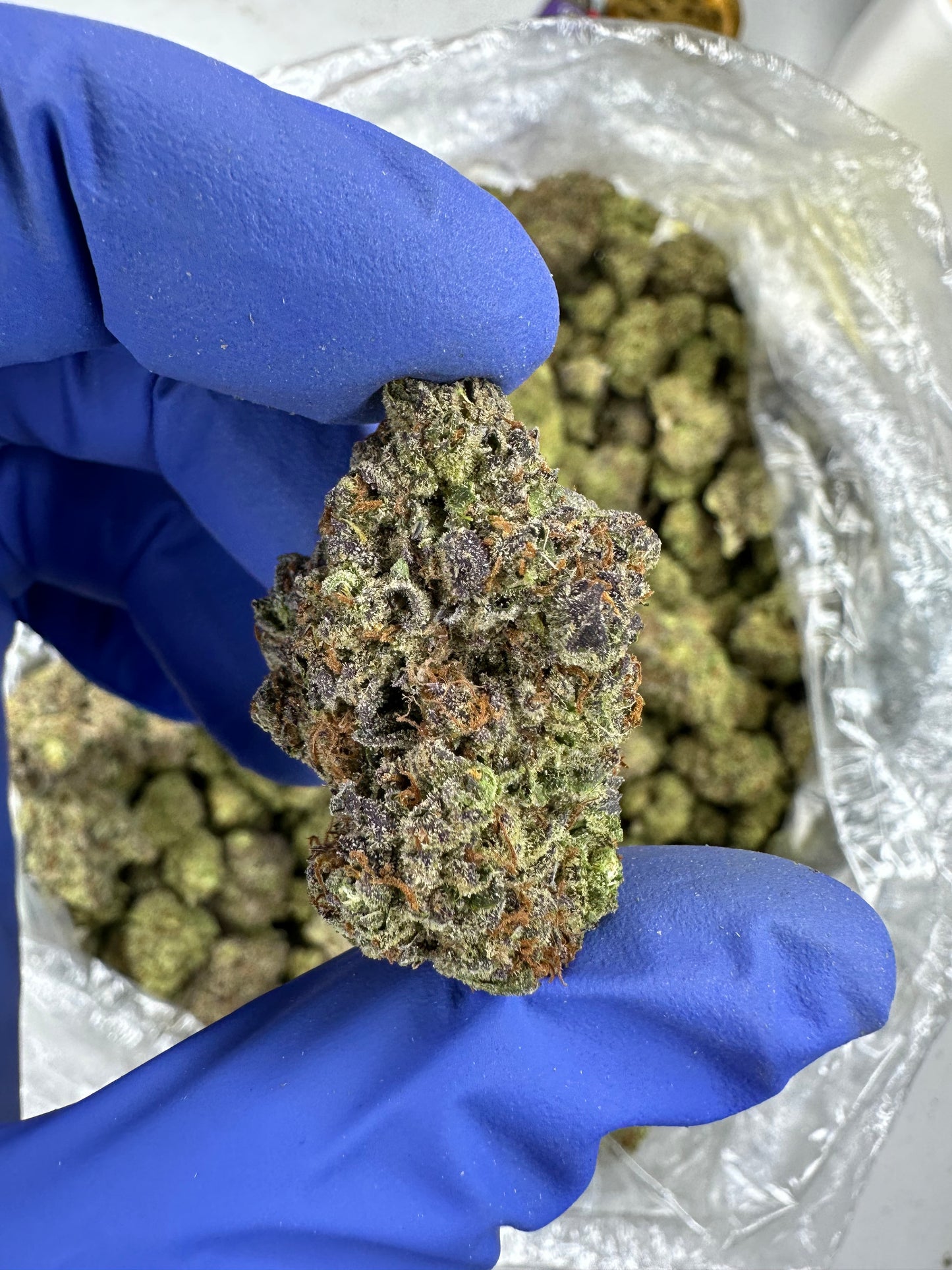 Quantum Canna