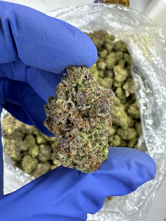 Quantum Canna