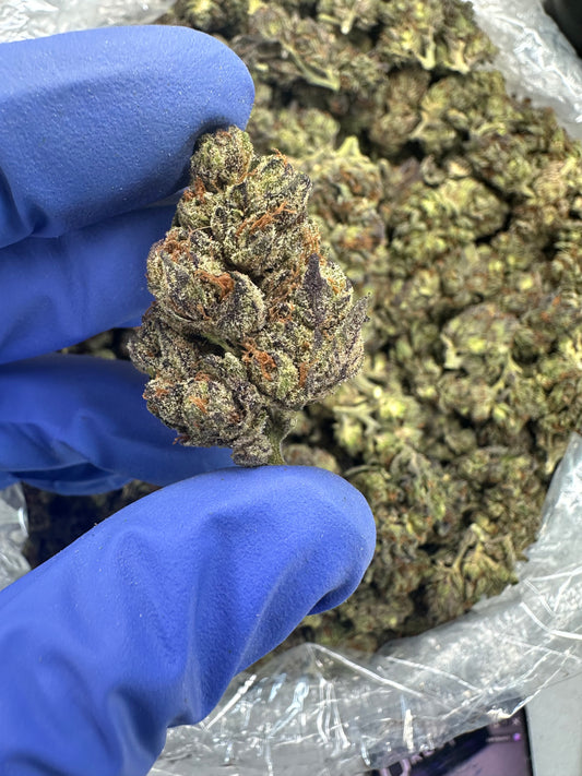 Sour Black Berry