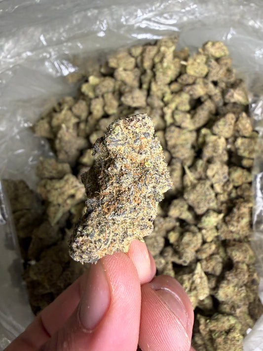 Peanut Butter Apricot exotic (ships June 3rd)