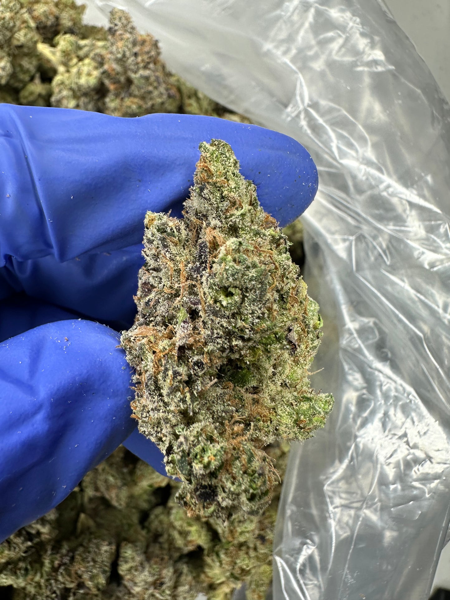 Atomic Apple Organic Small Batch Exotics