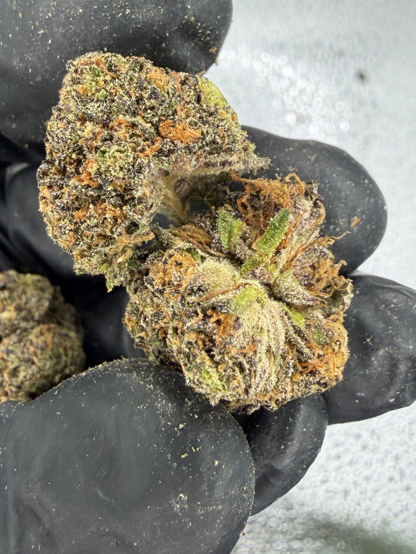 Pinnacle Runtz Small Batch Connoisseur Grade exotics
