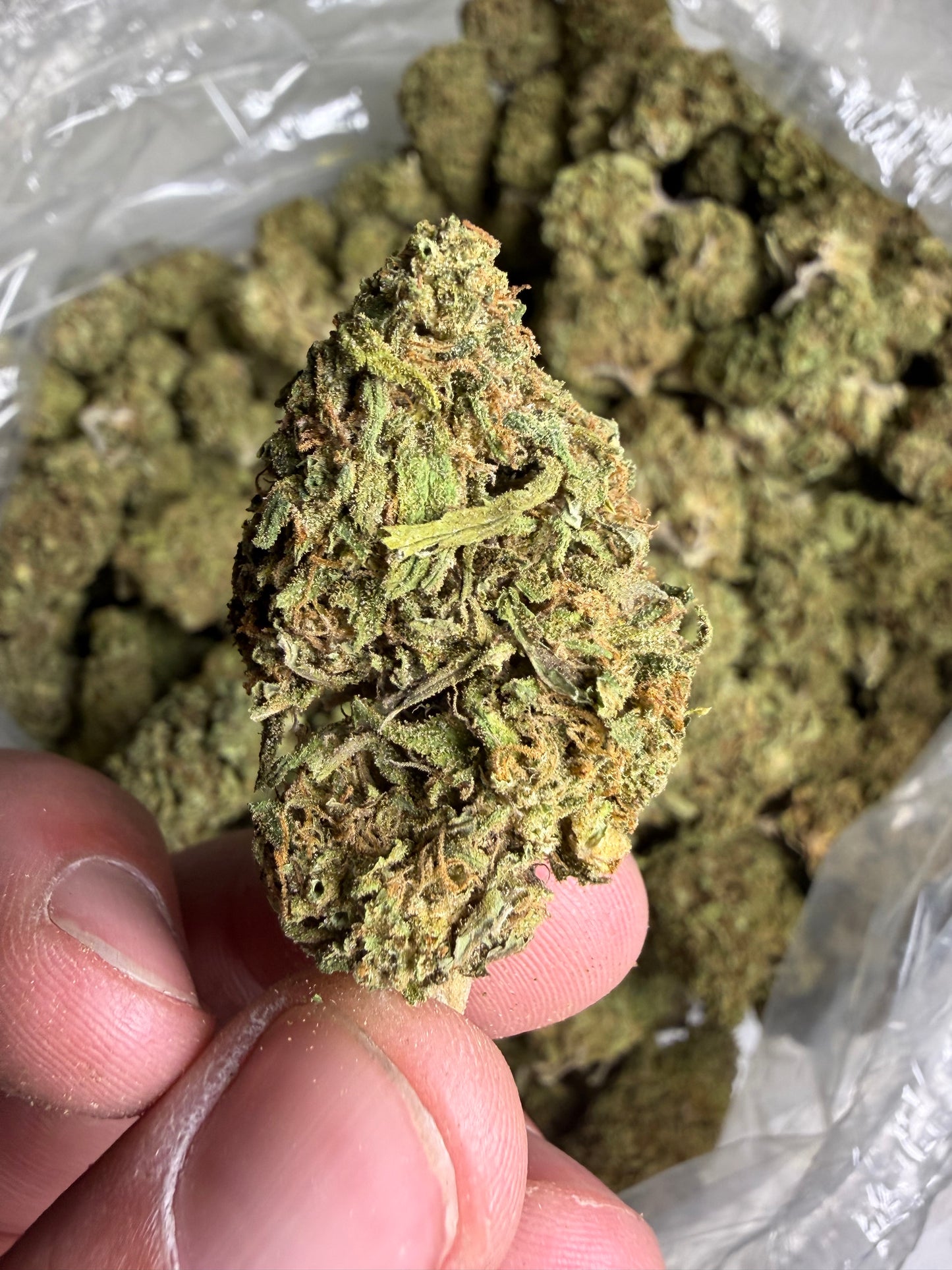 Green Applez ships June 3rd