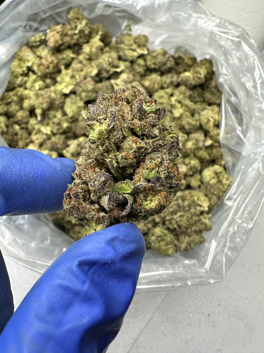 Rainbow Belts Green House