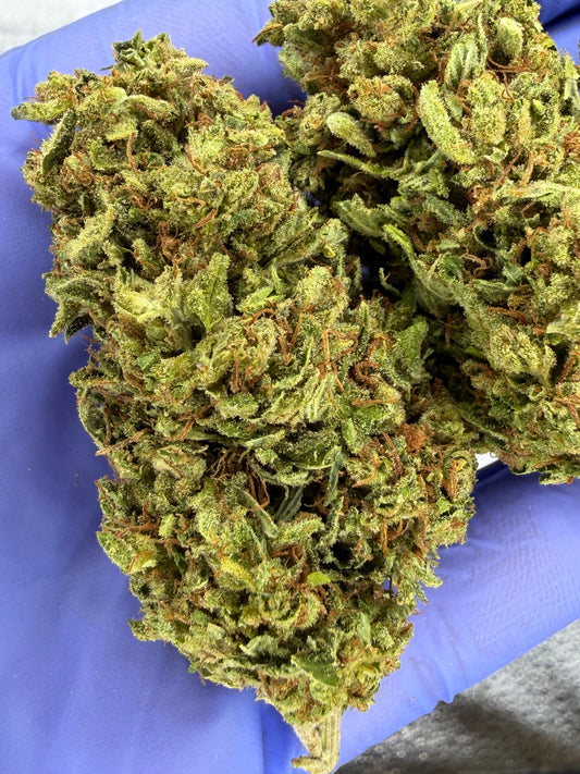 Real NYC Sour Diesel Classic Strain VERY RARE