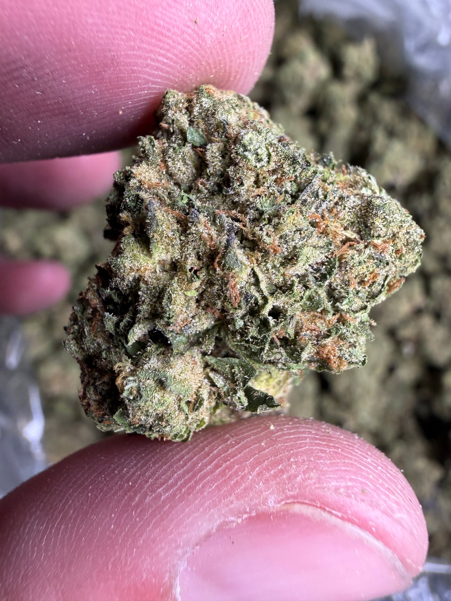 Intense Potent Cannabis (IPC) Indoor Light Assist won’t be shipped until june 3rd