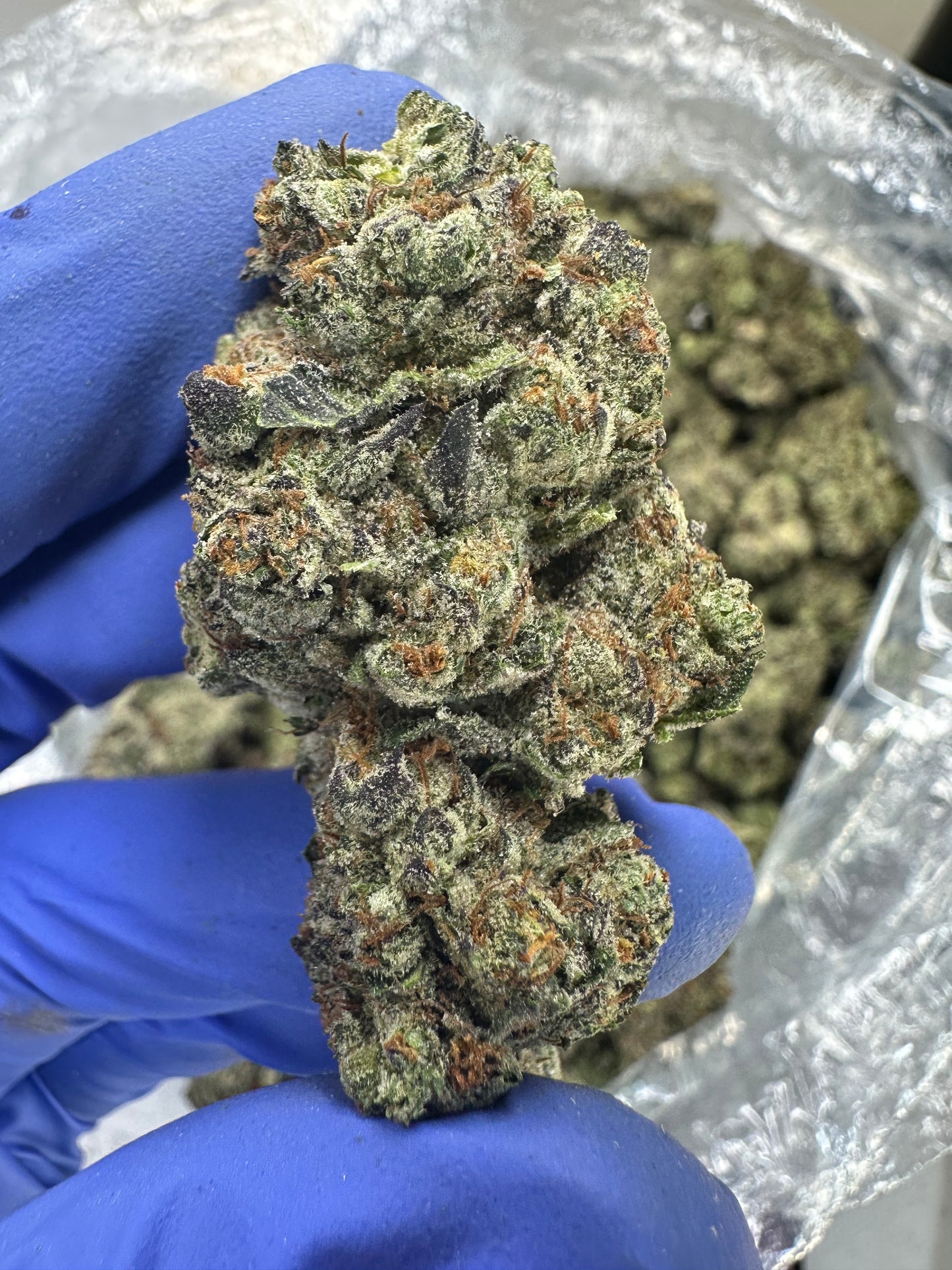 Grape Breath
