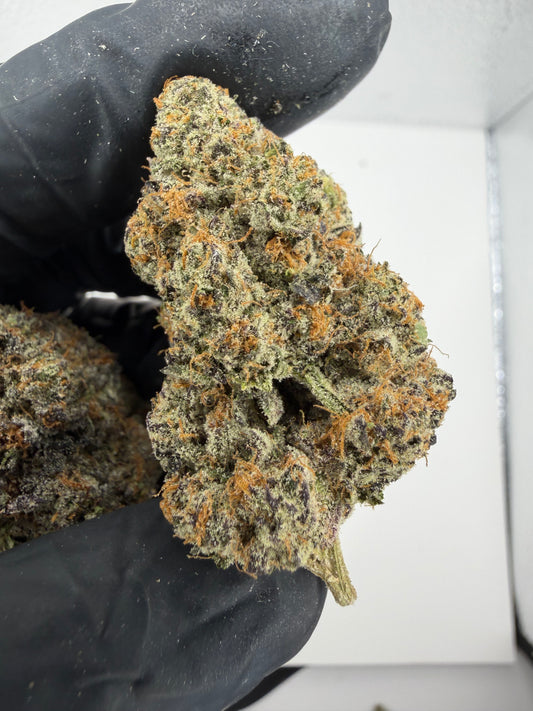 Cosmic Birthday Cake Cannaisseur Exotics