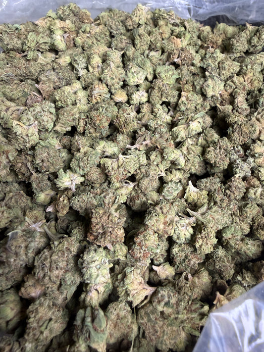 Blue Dream Greenhouse Smalls ships June 3rd