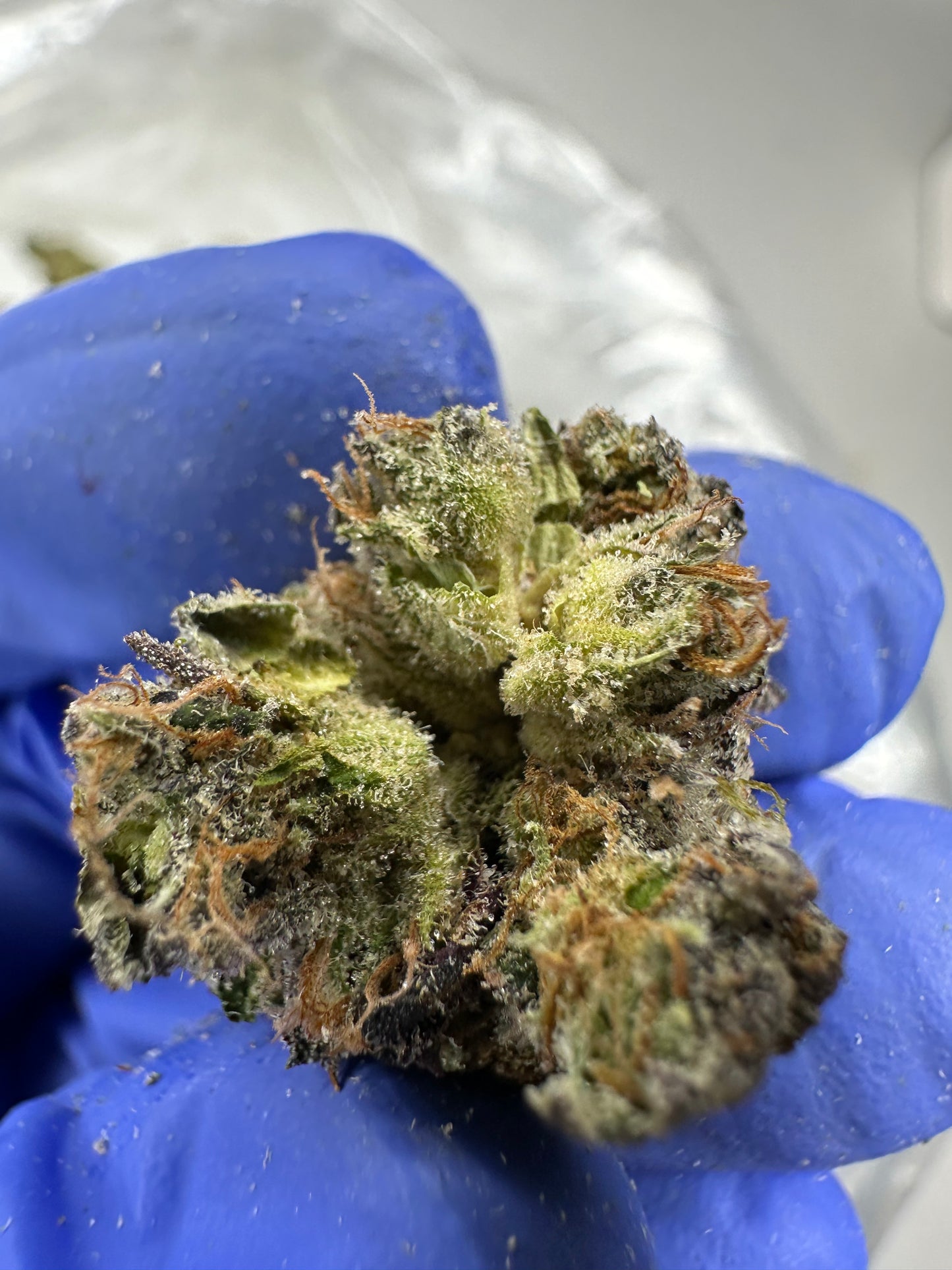 Atomic Apple Organic Small Batch Exotics