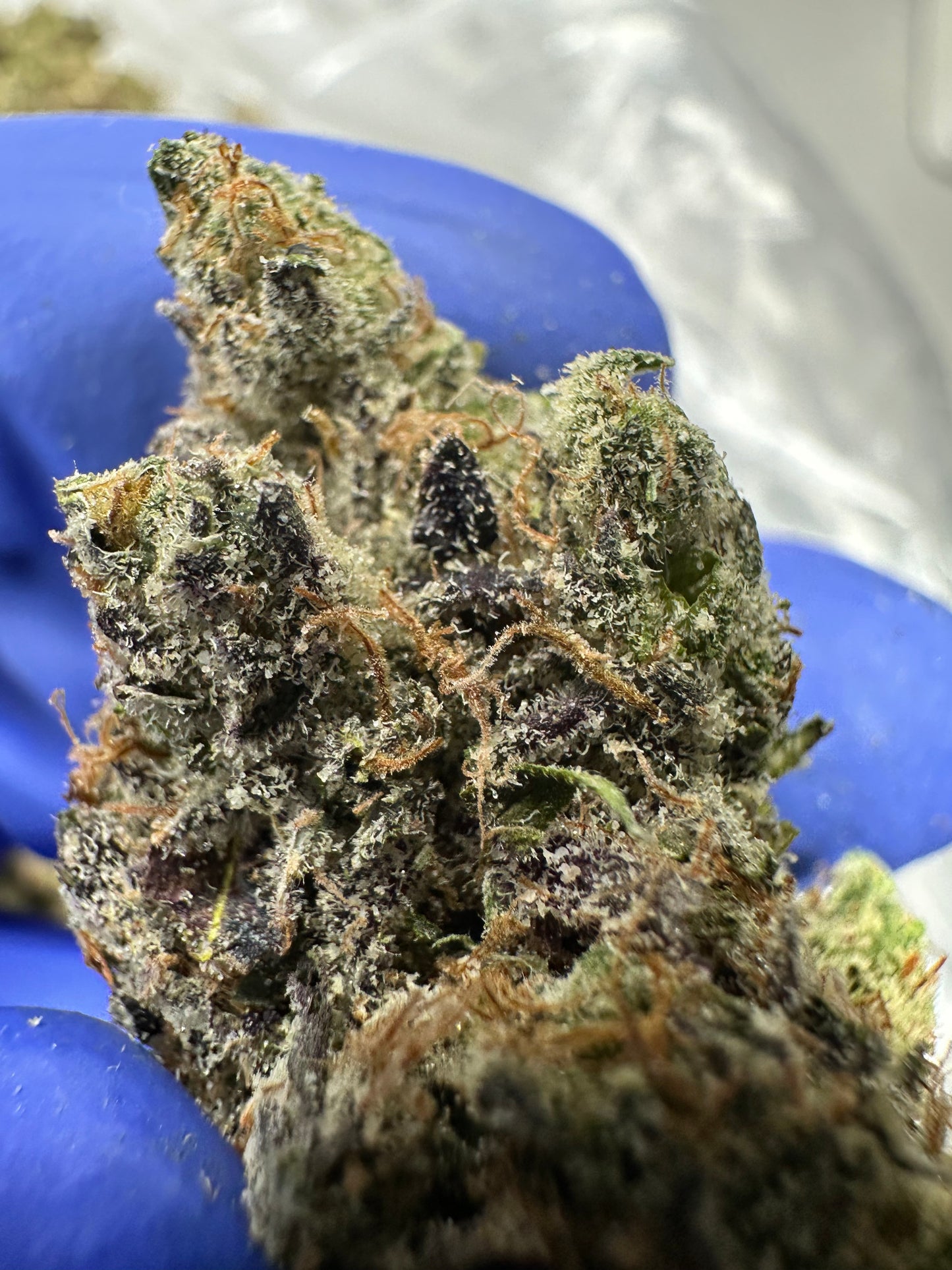 Atomic Apple Organic Small Batch Exotics