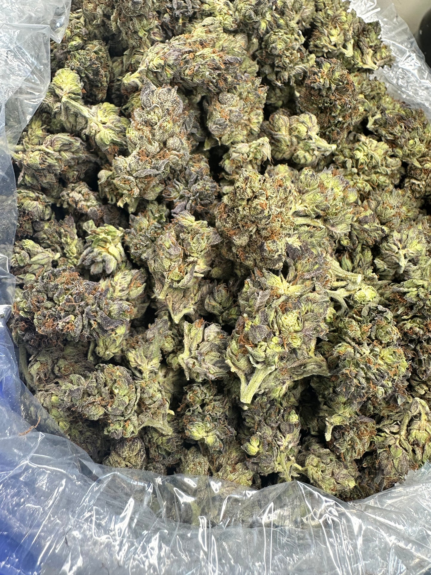 Sour Black Berry