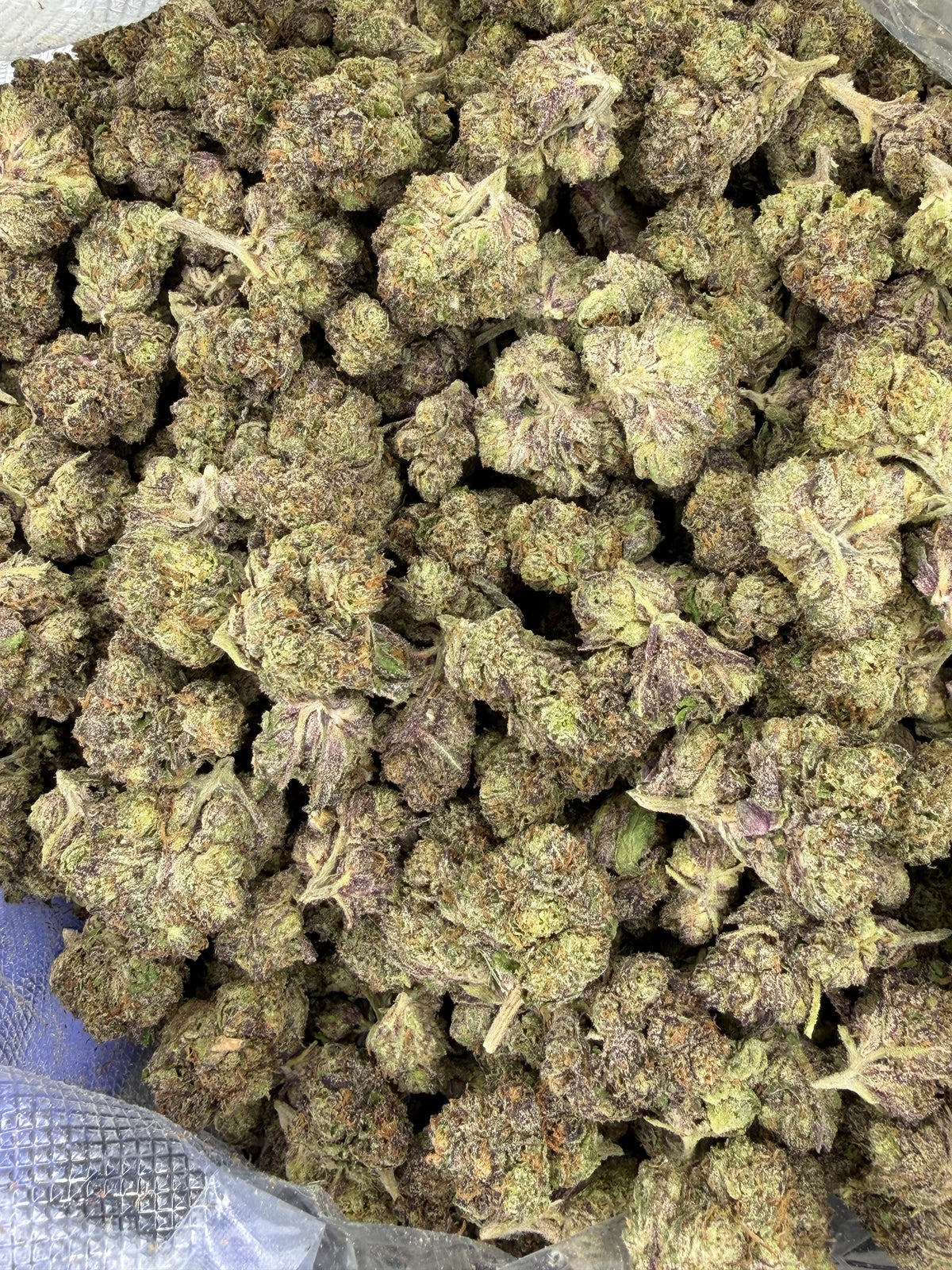 Galactic Runtz Indoor Light Assist