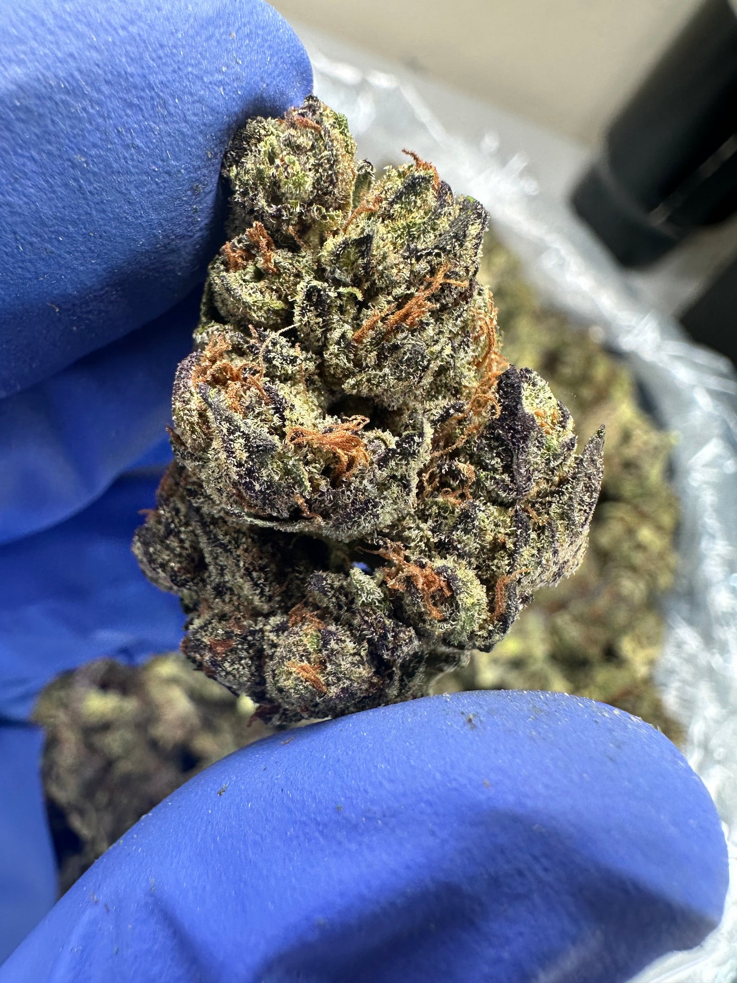 Sour Black Berry