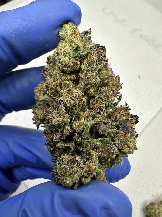 Ice Cream Paint Job Indoor light Assist