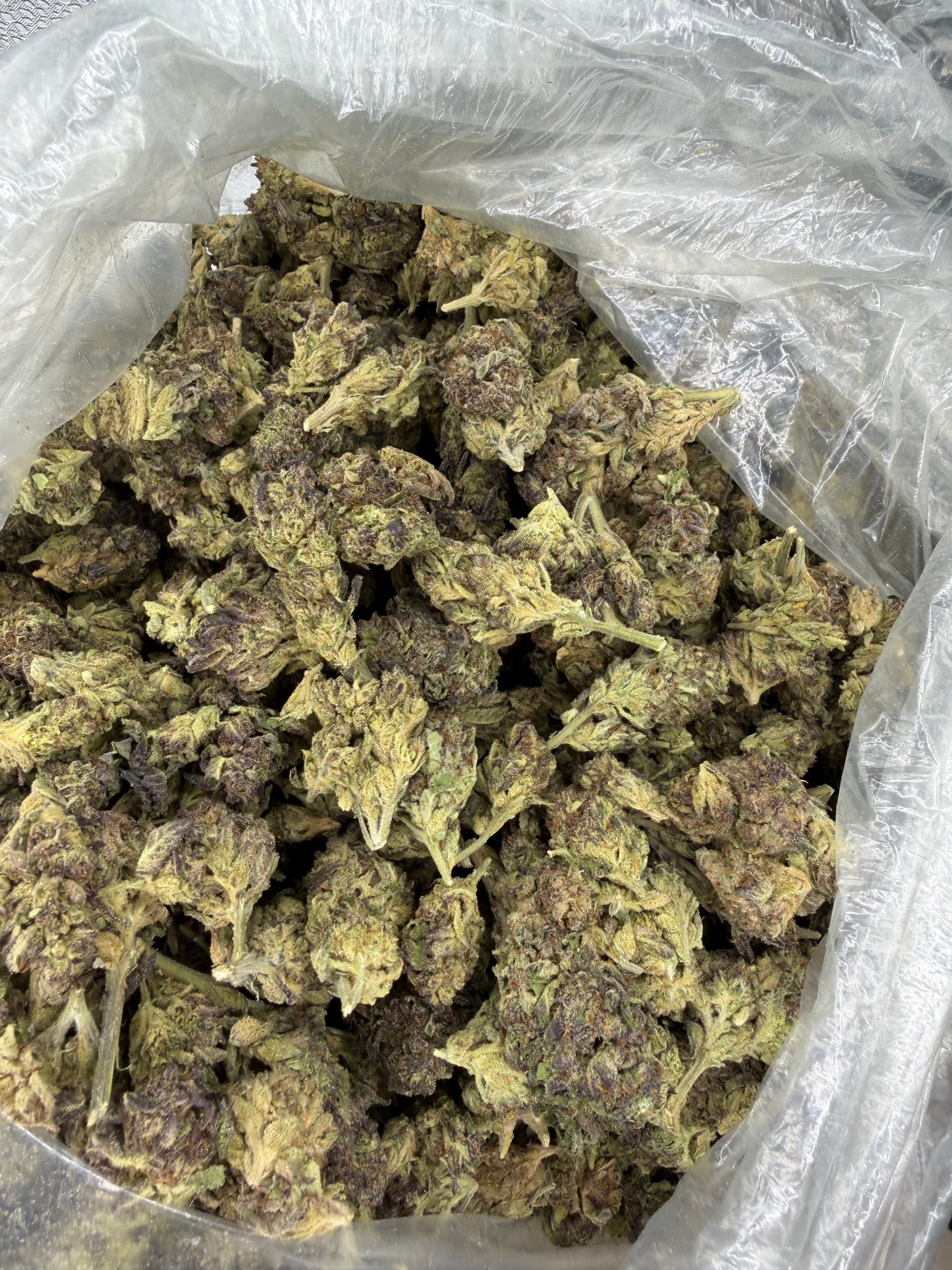 Pink Twinkies Outdoor