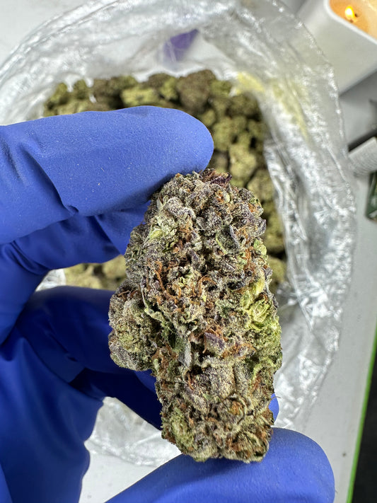 Quantum Canna