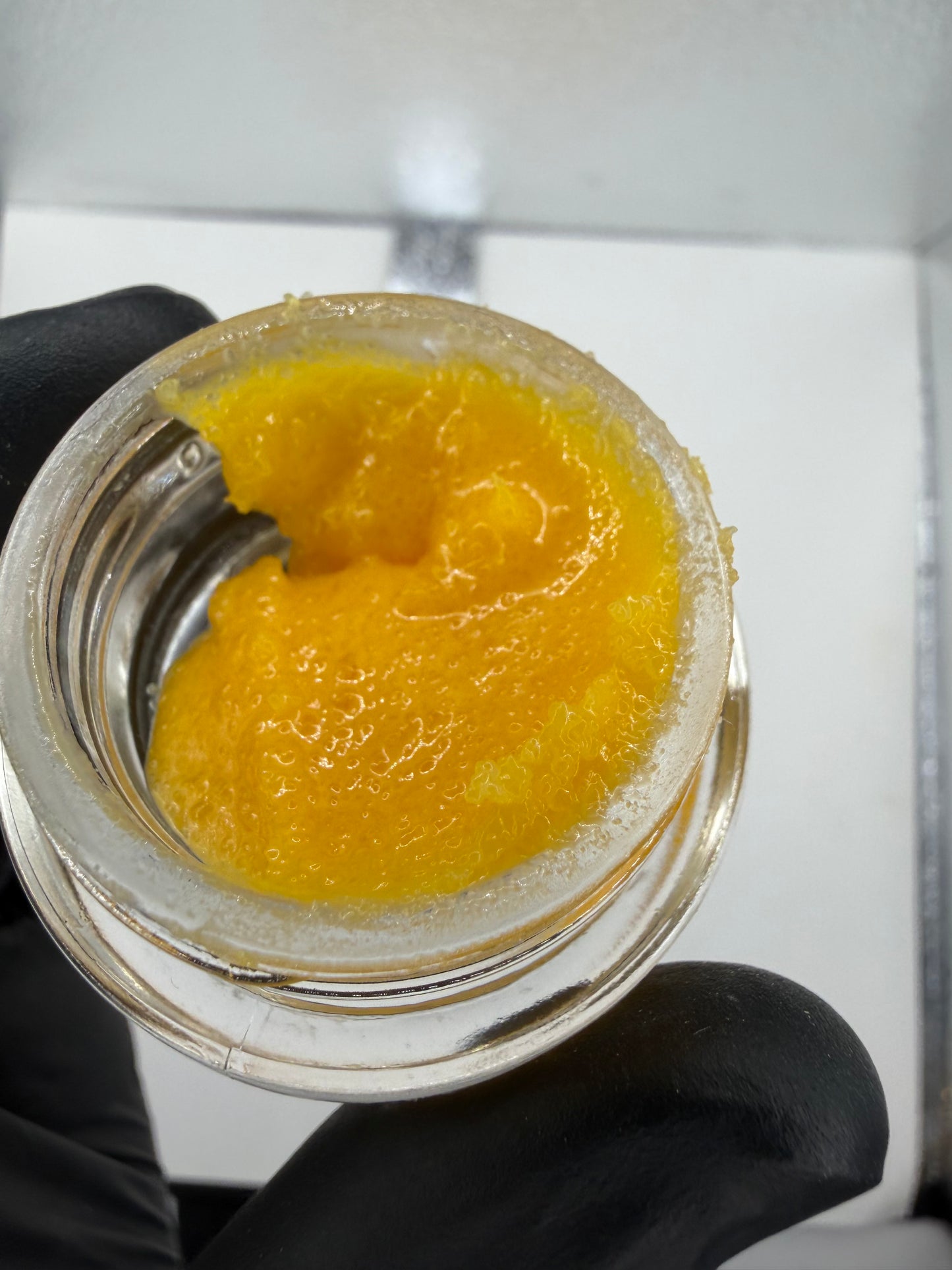 Nug Run Badder (read full description)
