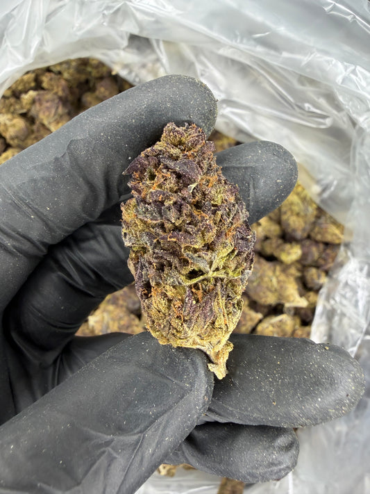 Purple Urkle Older Harvest