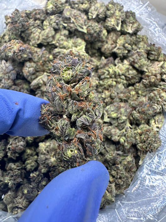 Sour Black Berry