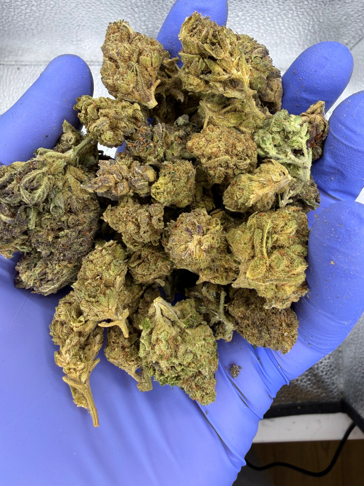 OLD Mixed Nugs