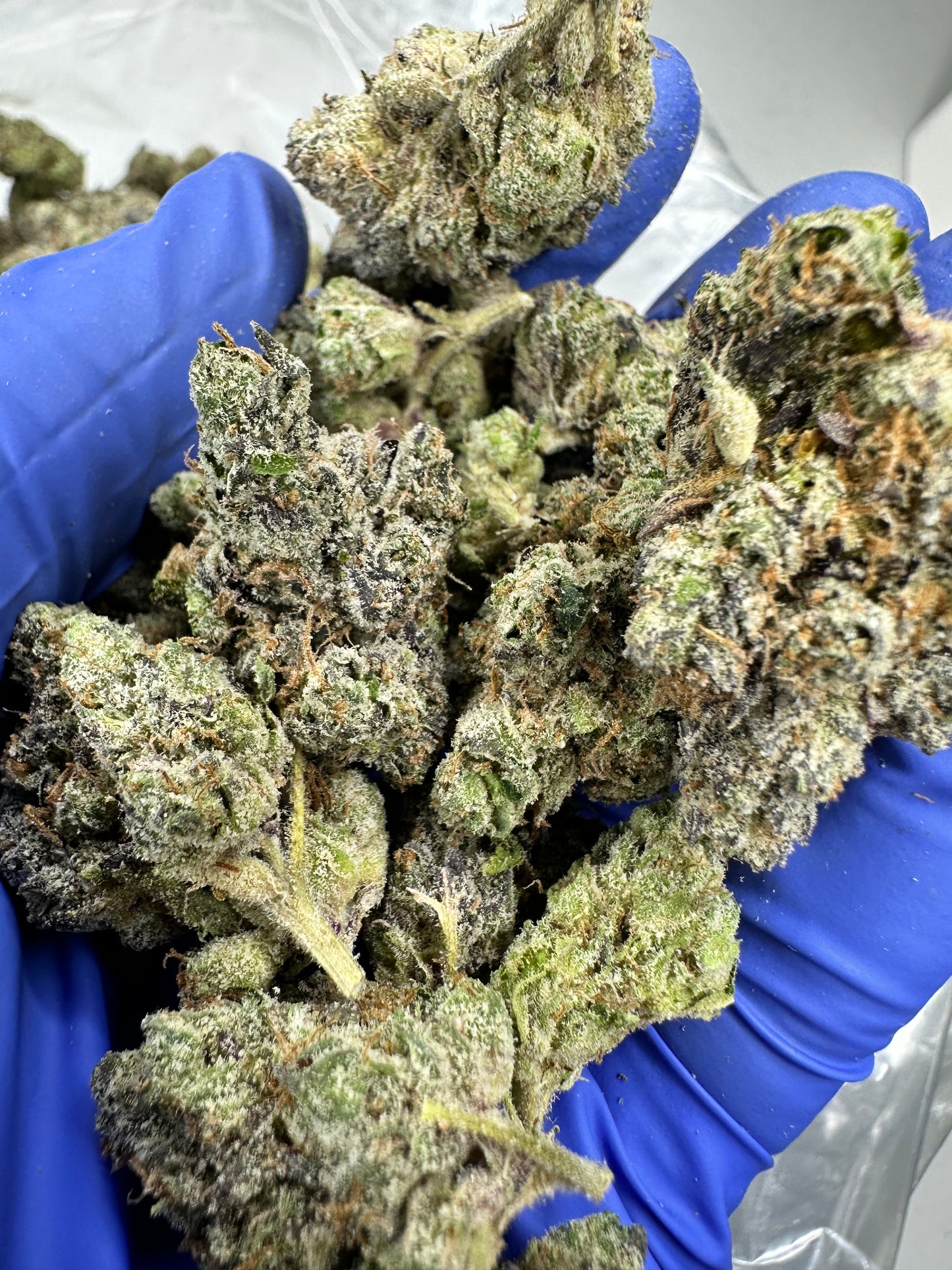 Atomic Apple Organic Small Batch Exotics