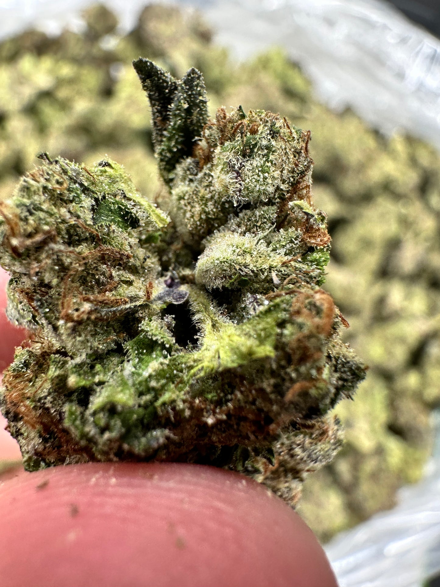 Platinum Gushers