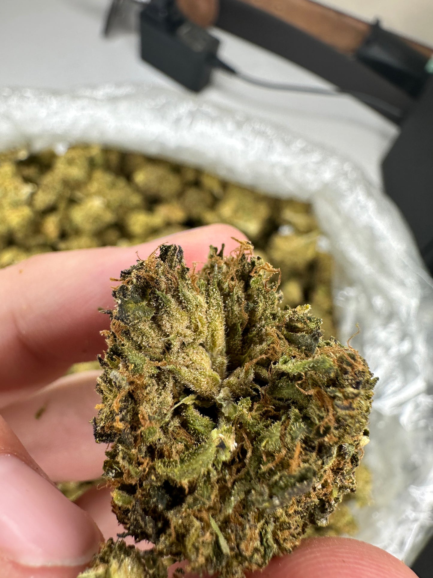 Mule Fuel