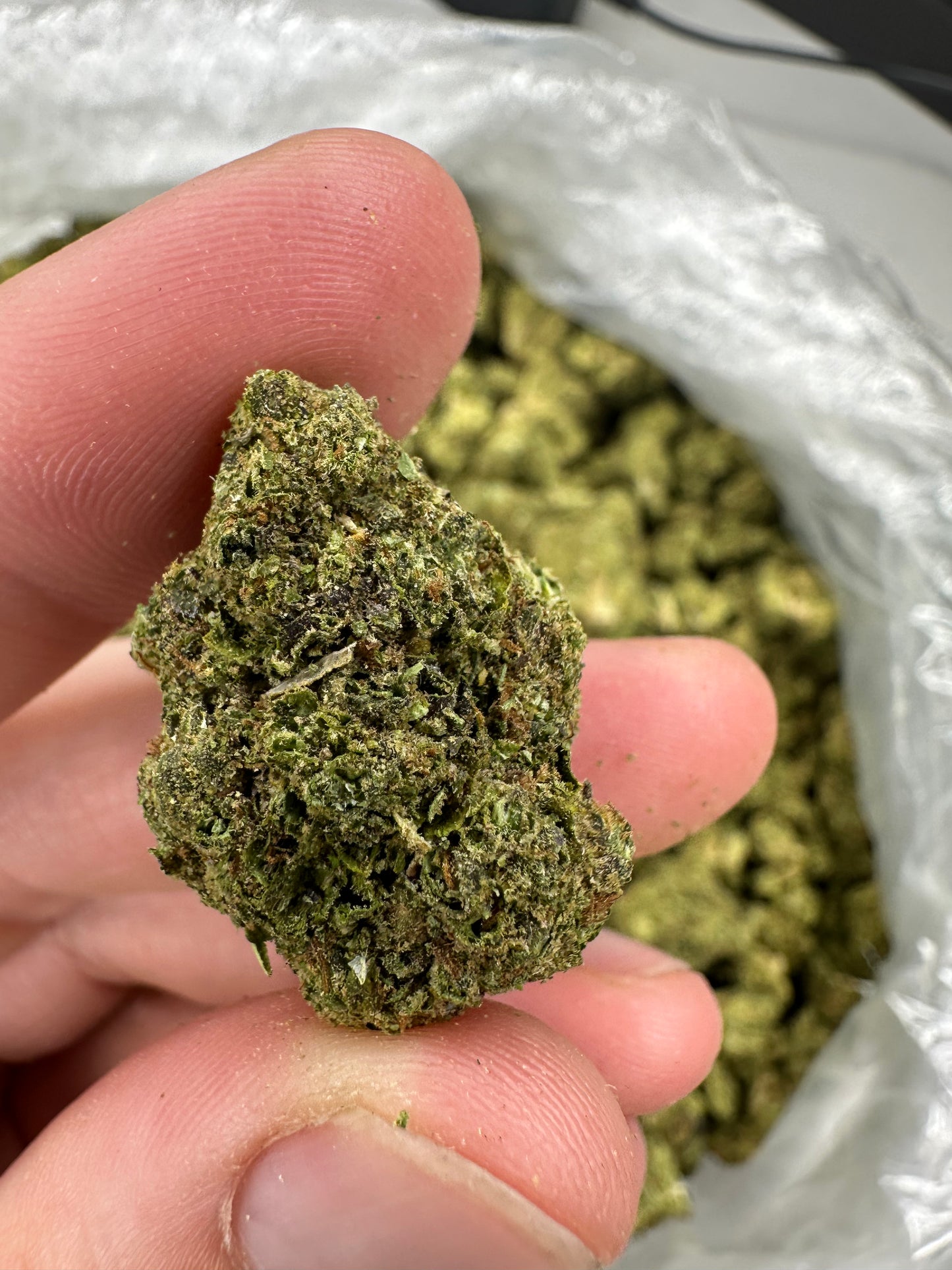 Triangle Sherbert