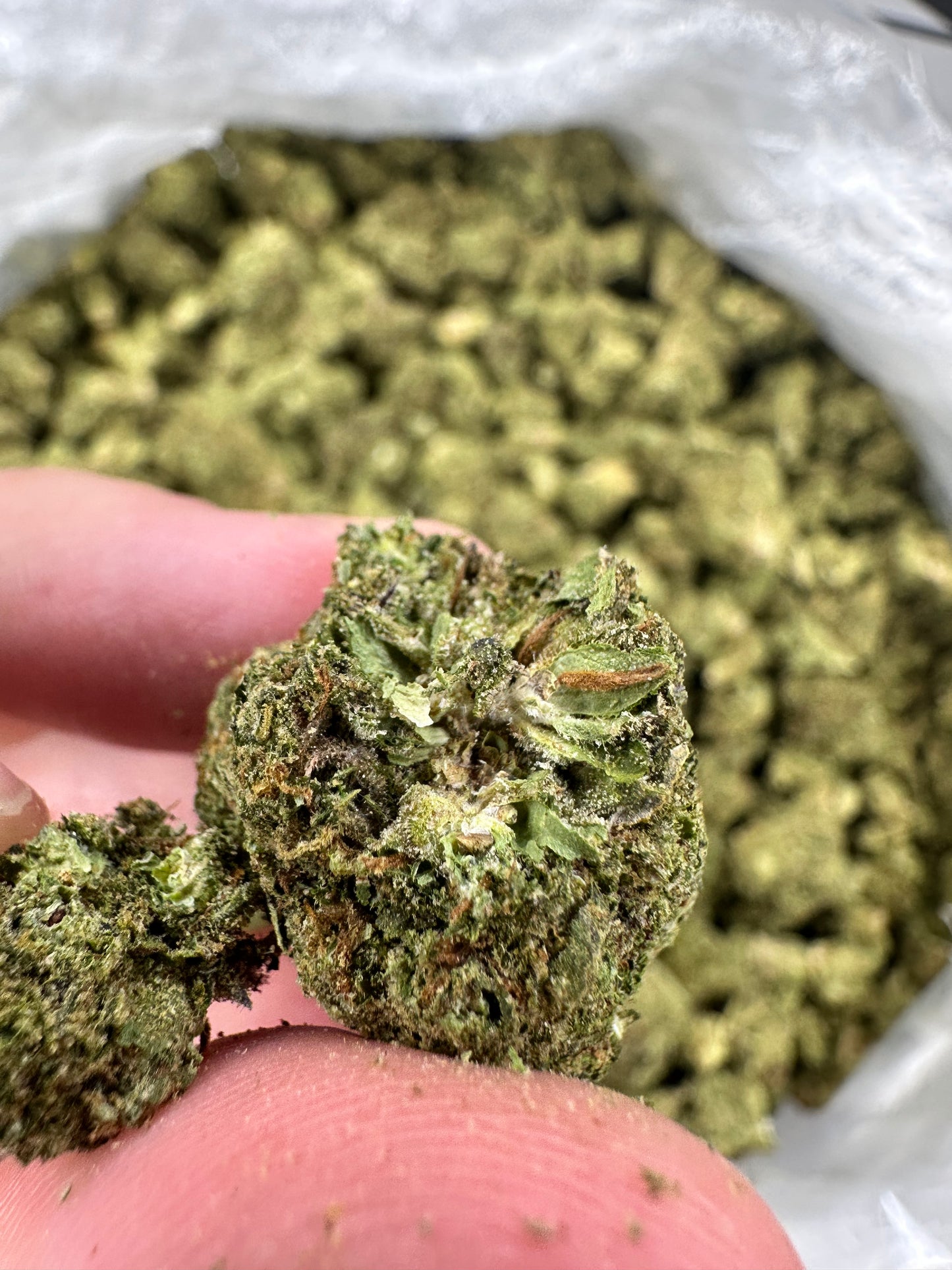 Triangle Sherbert