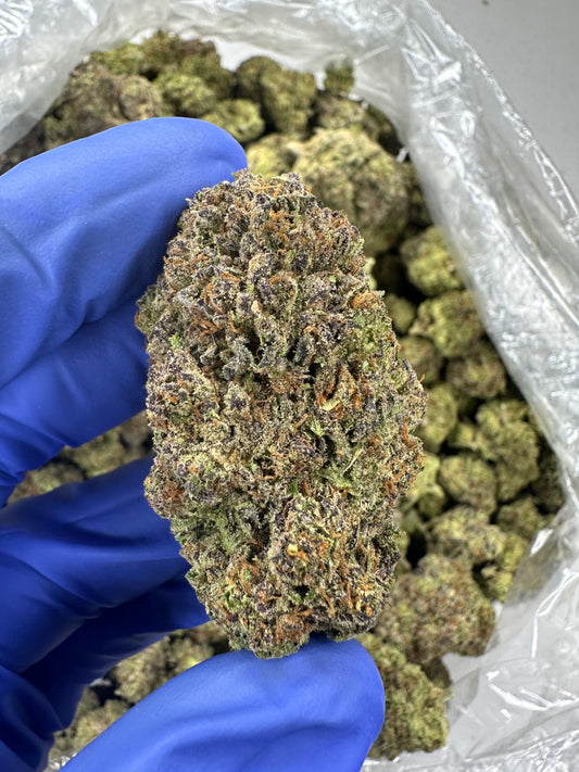 Garlic Breath