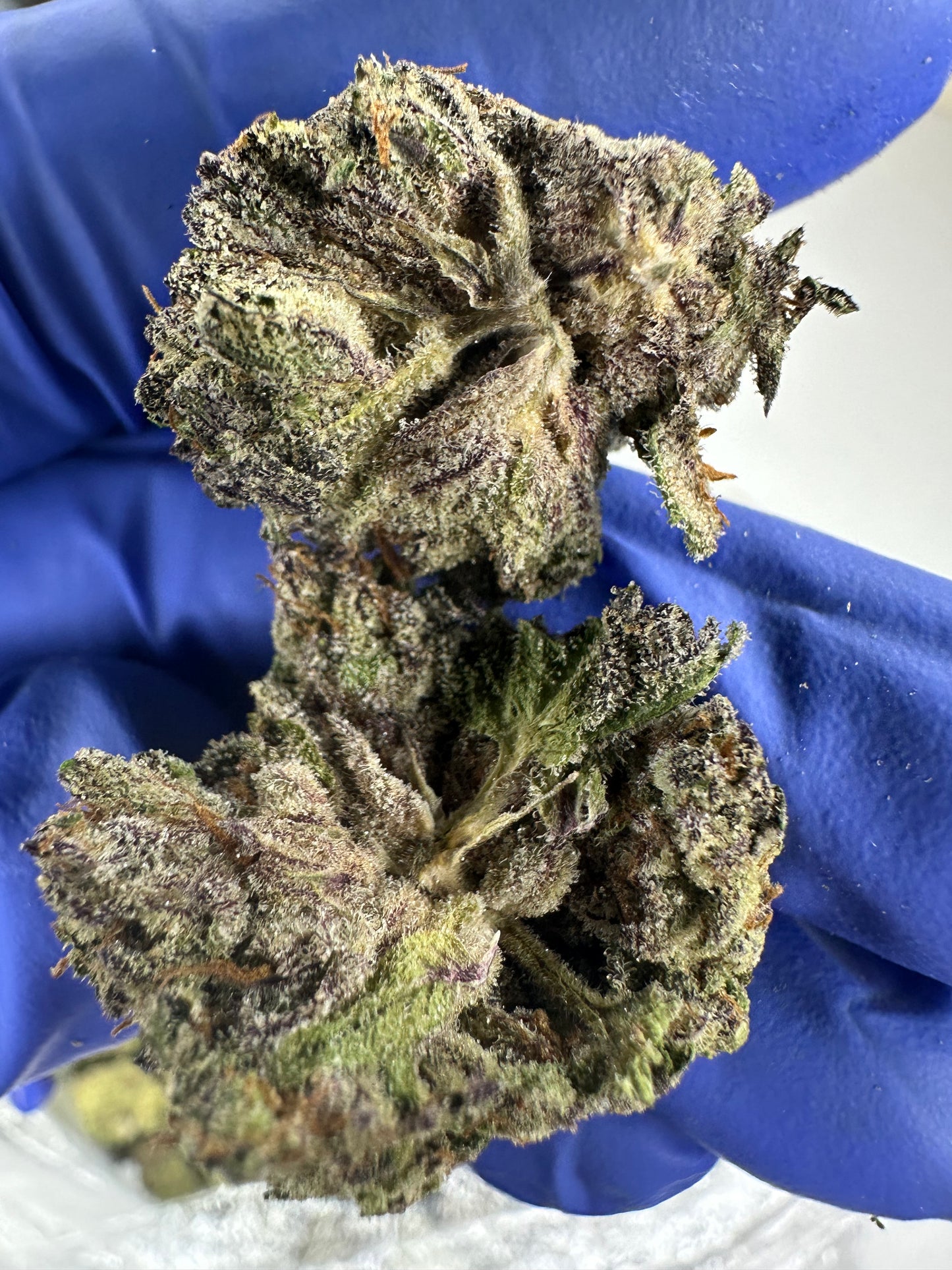 Garlic Breath