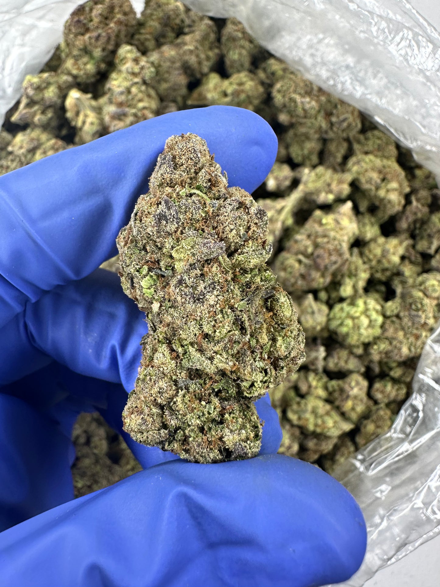 Lung Buster