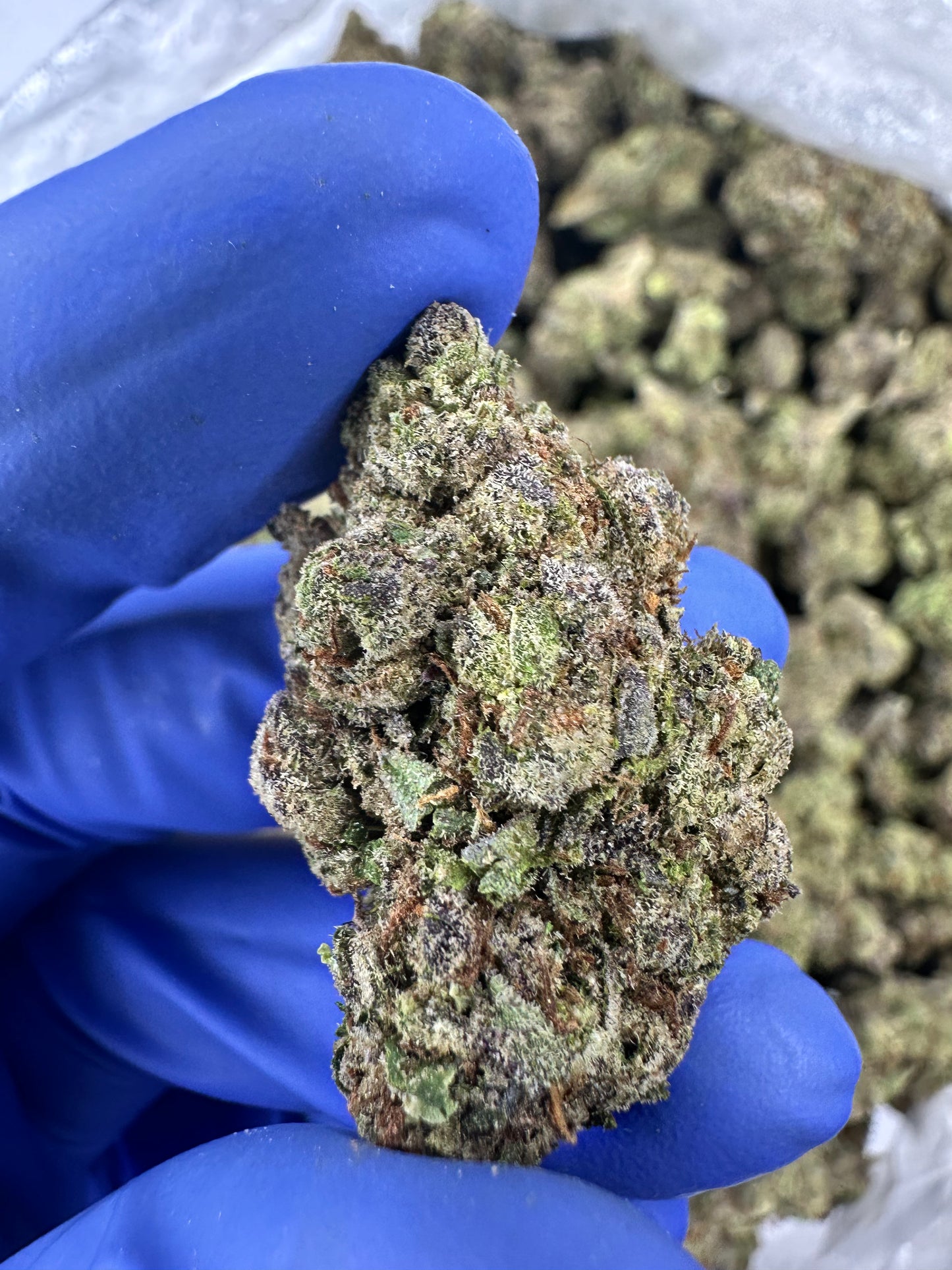 Lung Buster