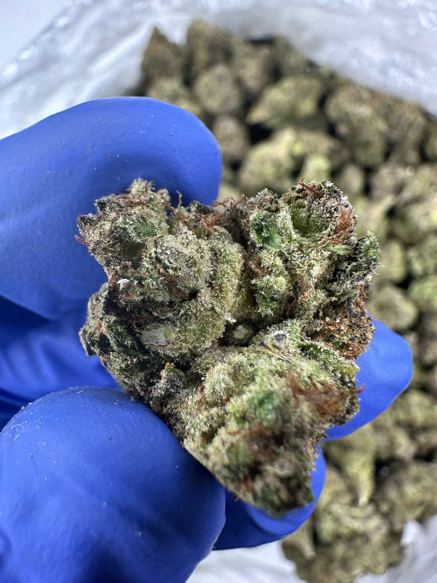 Lung Buster