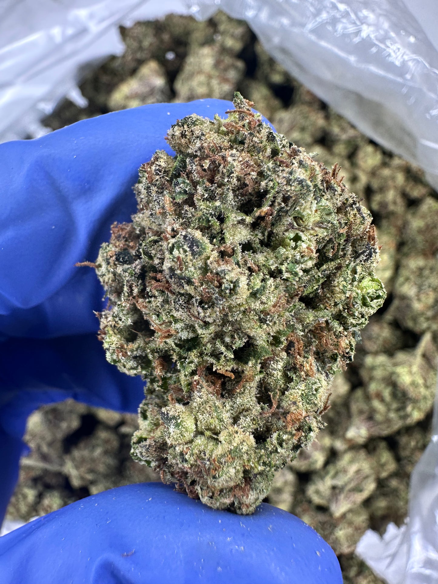 Banana Poison