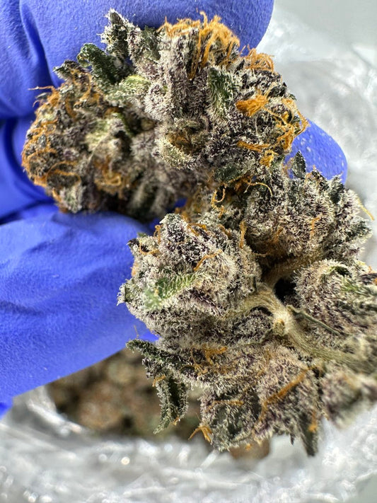 Caked Up Candy Exotics