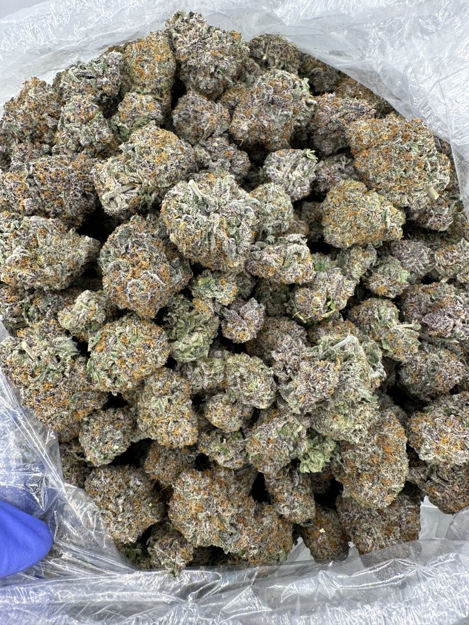 Caked Up Candy Exotics