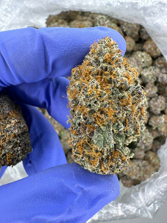 Caked Up Candy Exotics