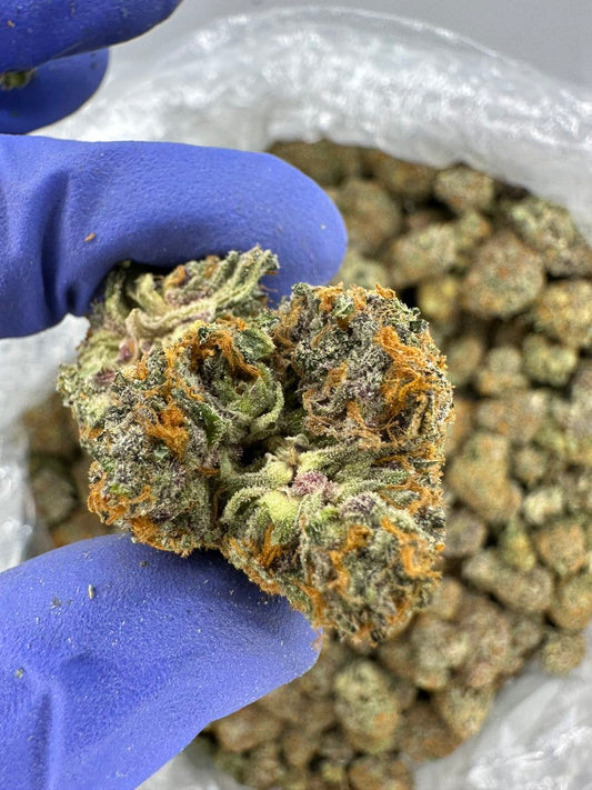 Guava Juice Exotics