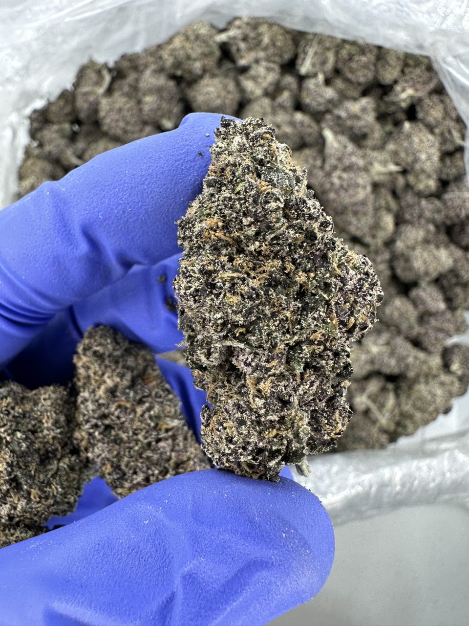 Purple Runtz