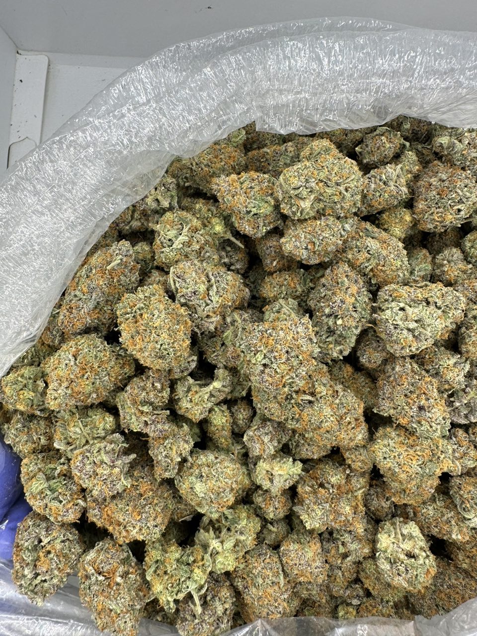 Guava Juice Exotics