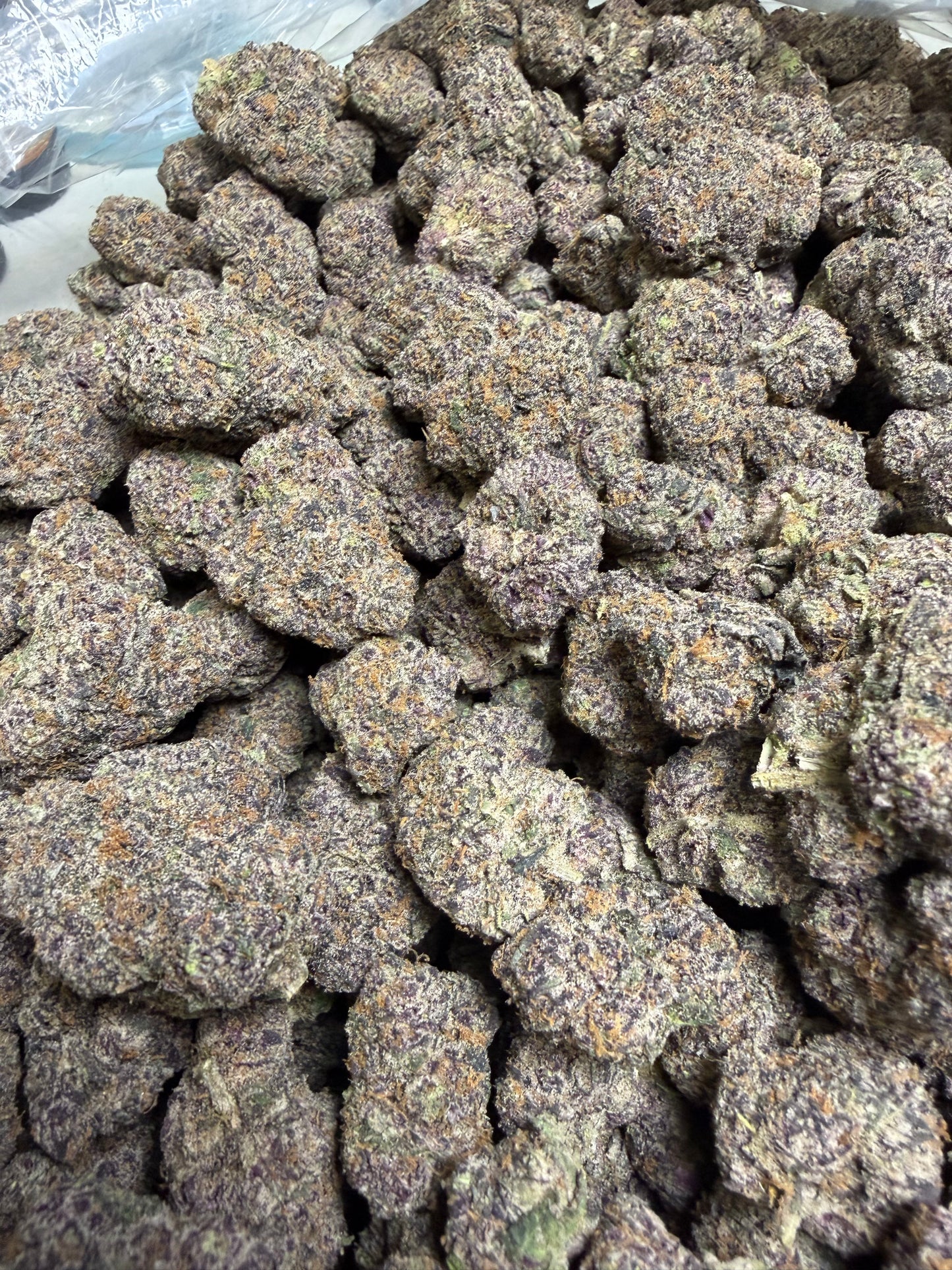 Astro Pop Cannaisseur Exotics ships Monday