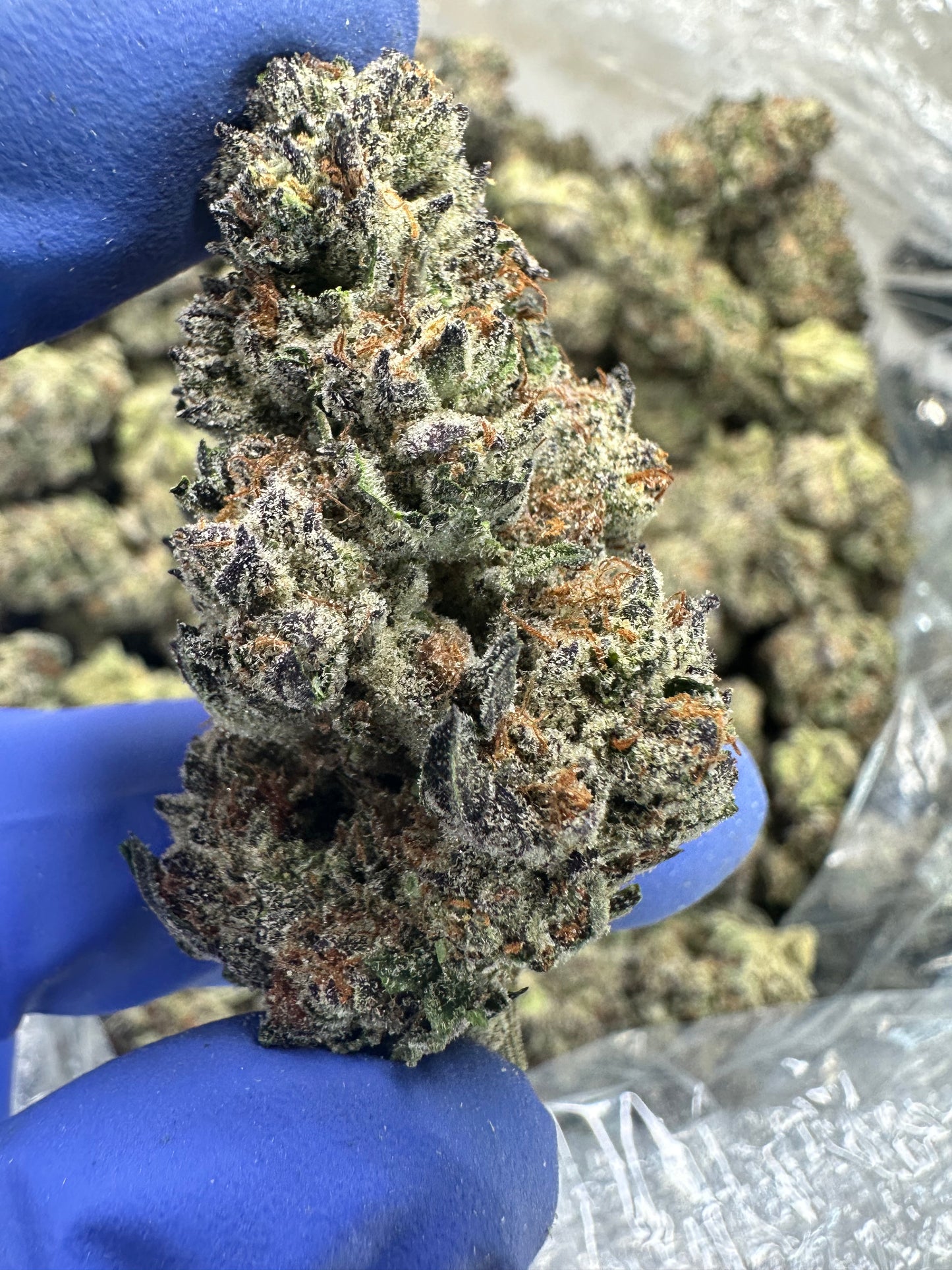 Strawberry Candied Gelato